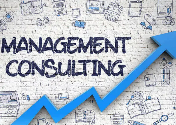 Management Consulting Firm